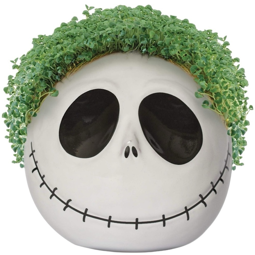 JACK SKELLINGTON THE NIGHTMARE BEFORE CHRISTMAS Chia Pet - Picture 4 of 7
